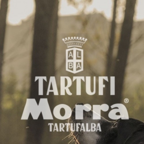 Tartufi Morra
